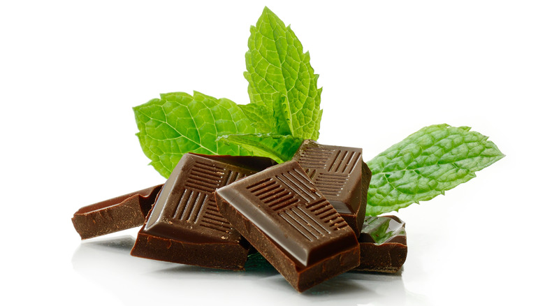 chocolate pieces and mint leaves 