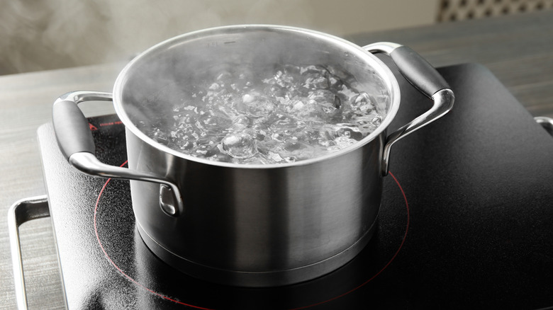A stainless steel pot of water boils on a stove top