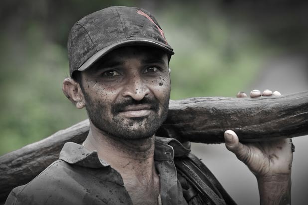  A Porker in the Family