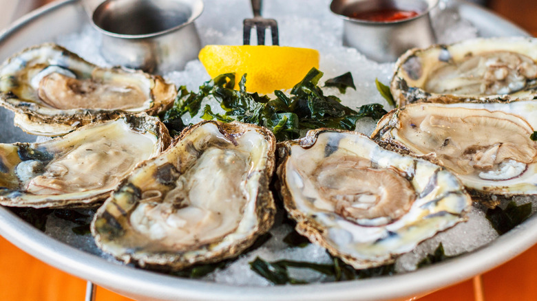 Fresh oysters on the half shell
