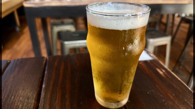 A closeup of a pint of beer