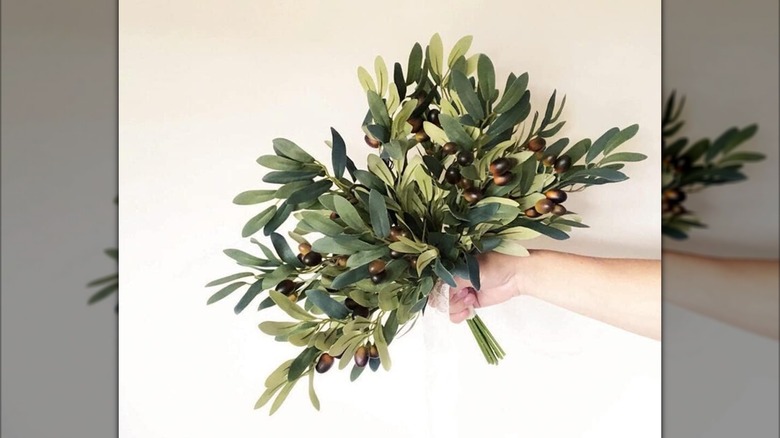 Hand holding bunch of olive branches