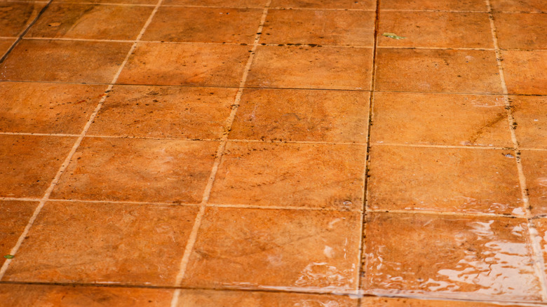 Wet terracotta tile floor