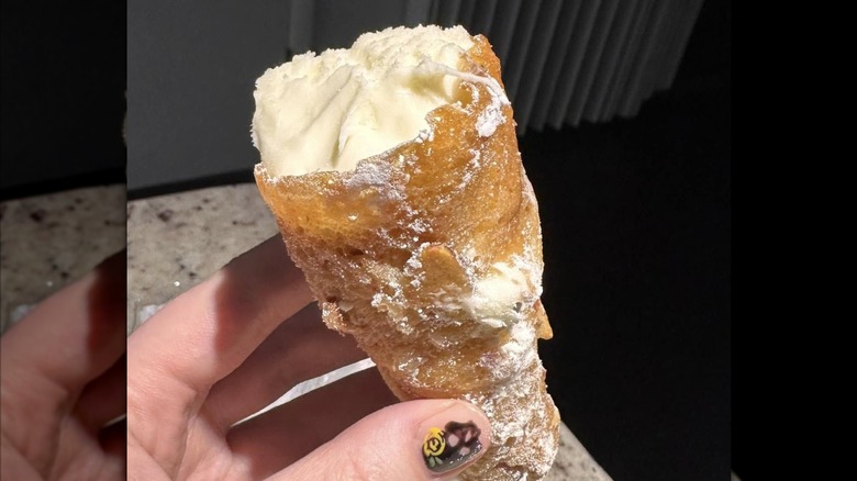 A close-up of a hand holding a Publix cheesecake almond cone