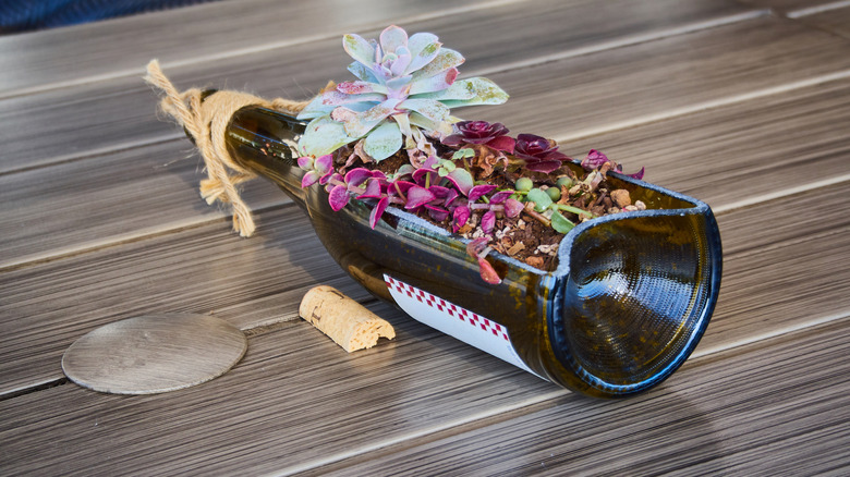 A sideways wine bottle, cut open so that it can be used as a flower bed, set on a wooden outdoor table