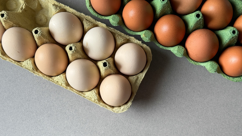 Two cartons of eggs against a white table backdrop