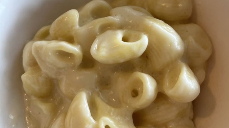 Small portion of Panera Bread Mac and Cheese
