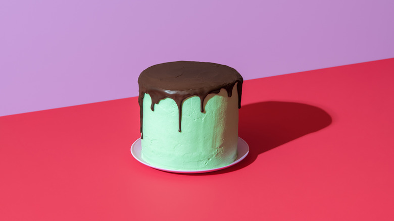 A peppermint cake with chocolate icing sits against a two-tone background
