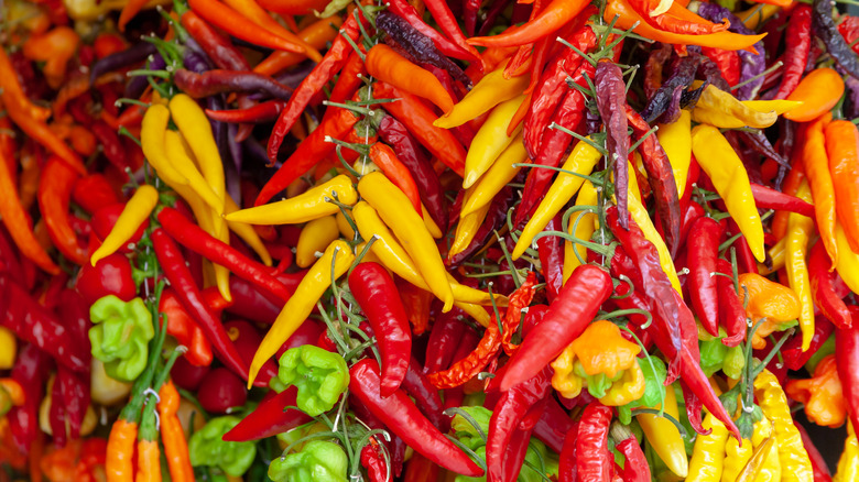 a variety of colorful chili peppers