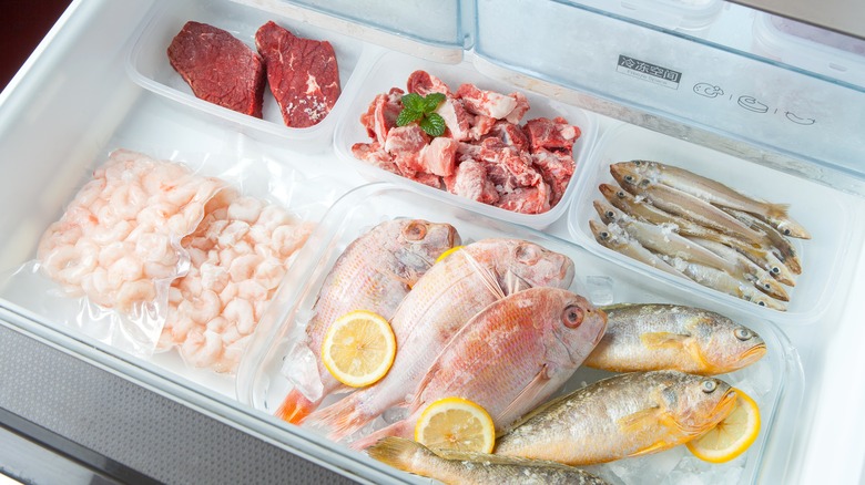 Meat, fish, seafood in freezer