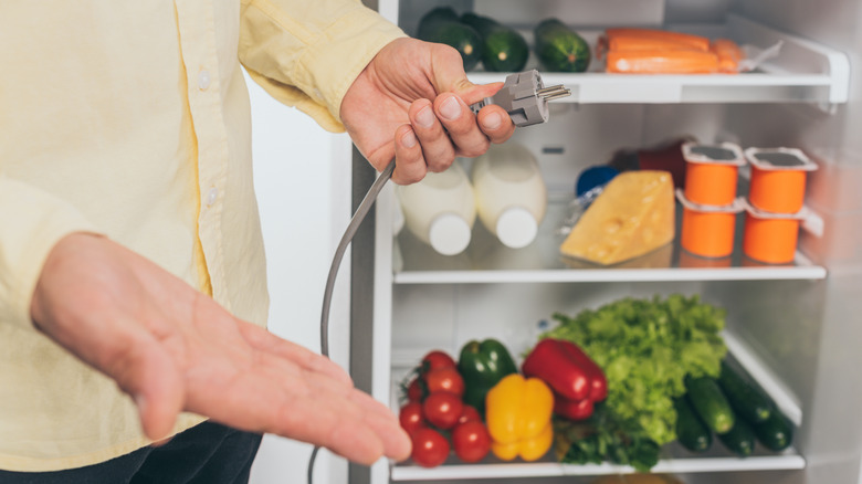 full, unplugged refrigerator and freezer