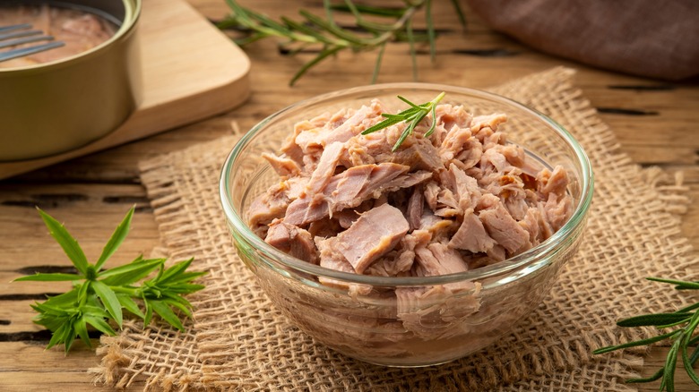 A Beginner's Guide To Canned Tuna Varieties