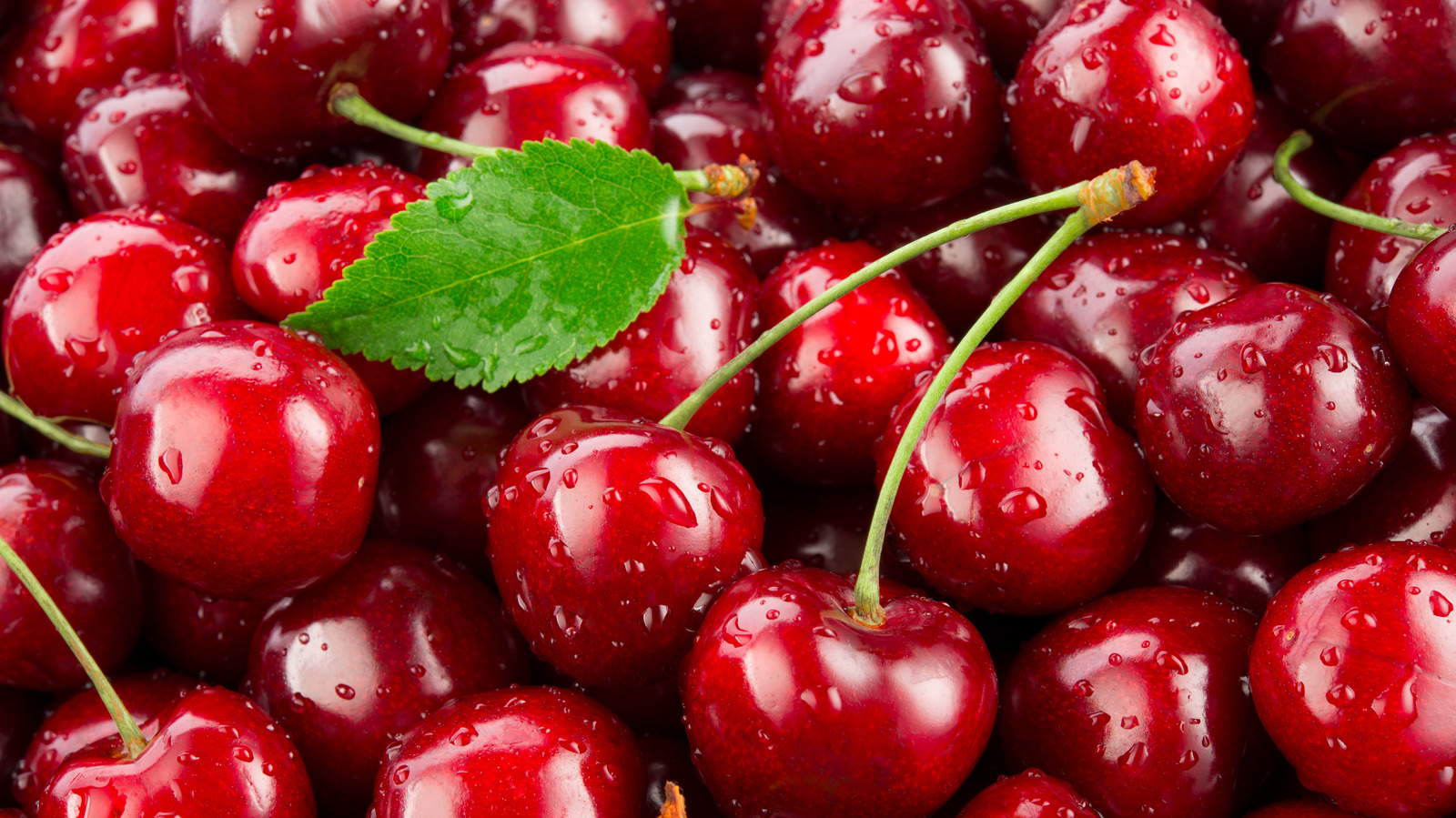 A Beginner's Guide To Cocktail Cherries