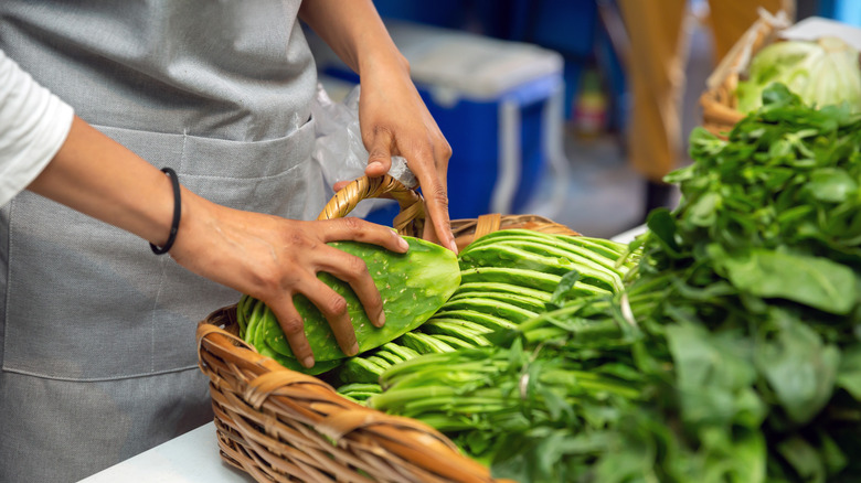 man putting nopales on a basket