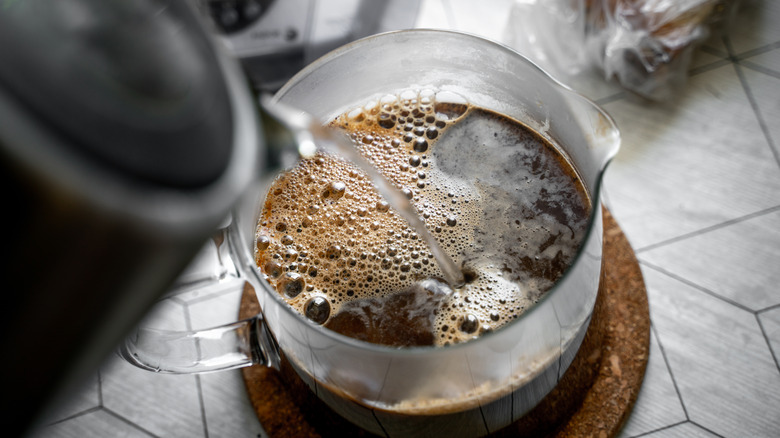 A Beginner s Guide To The Wide World Of Coffee Beans A Beginner s Guide To The Wide World Of Coffee Beans
