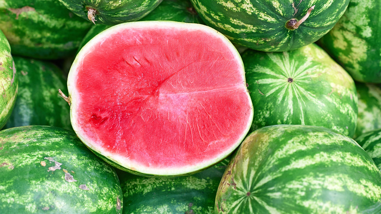 seedless red watermelon
