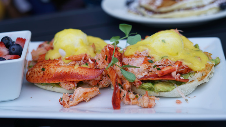Lobster eggs benedict