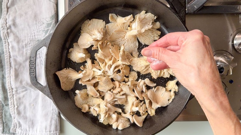 Salting oyster mushrooms in cast iron skillet on stovetop