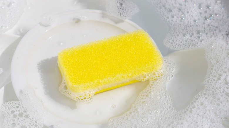 https://www.thedailymeal.com/img/gallery/a-dishwasher-is-all-you-need-to-deep-clean-your-kitchen-sponges/intro-1693418643.jpg
