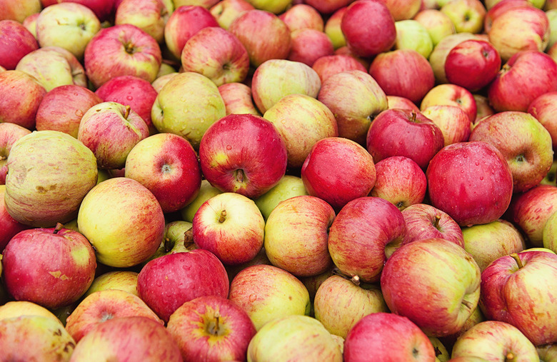 A Handy Guide to the Most Popular Apple Varieties and Their Uses
