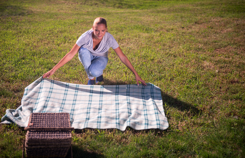 What to Bring: Spacious Picnic blanket