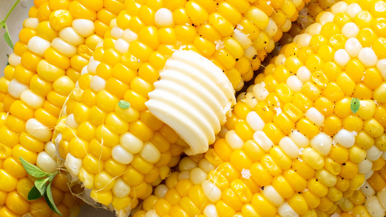 Corn cobs with salt and butter