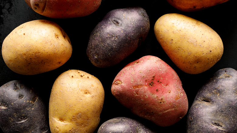 Assortment of potato cultivars