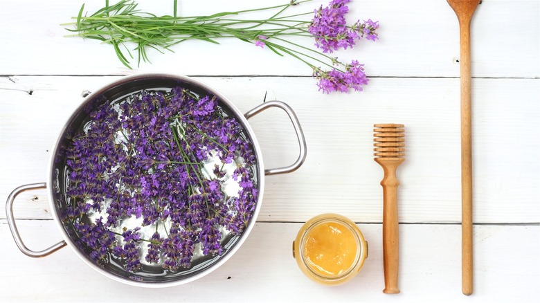 Fresh lavender in pot with water 