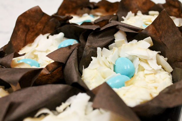 Bird's Nest Cupcakes 