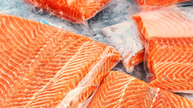 frozen salmon fillets in packaging on ice