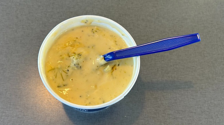 Cup of Broccoli Cheese Soup from Culver's with a blue plastic spoon in it