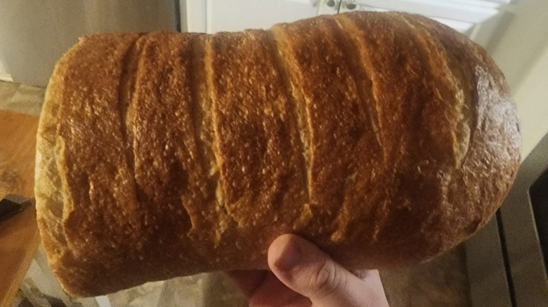 Person holding loaf of bread