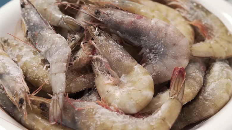 Individually quick frozen whole shrimp