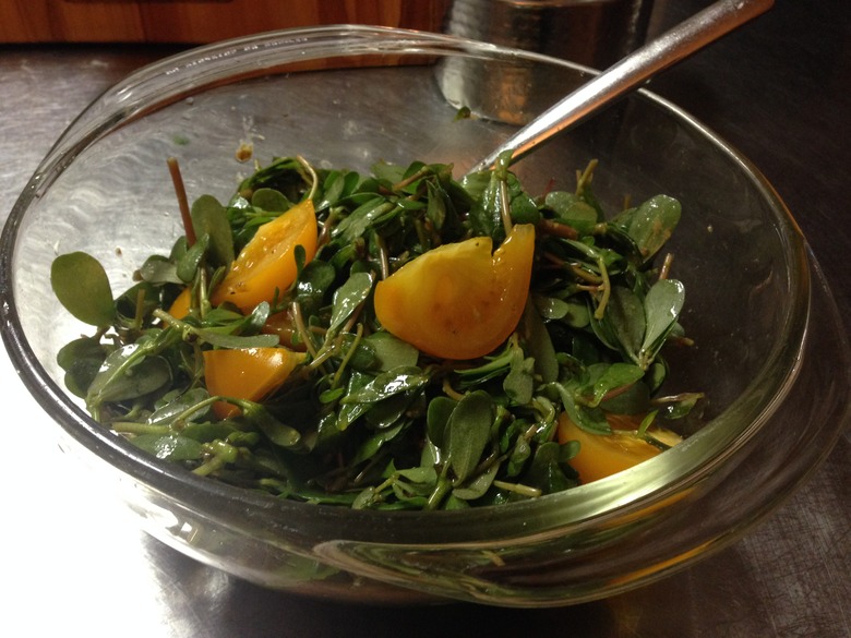 Purslane Salad