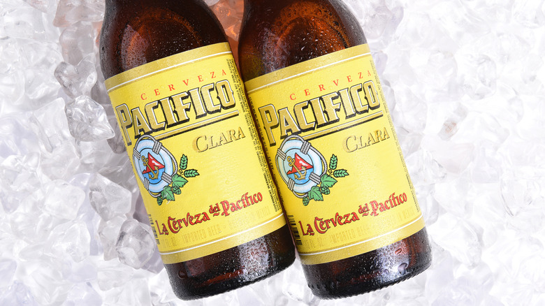 Two bottles of Pacifico on ice