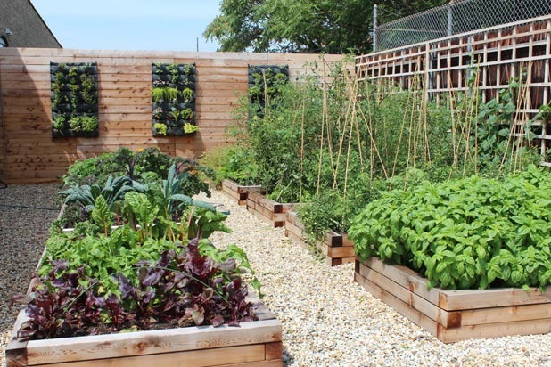 3) Big Delicious Planet, Chicago, Illinois