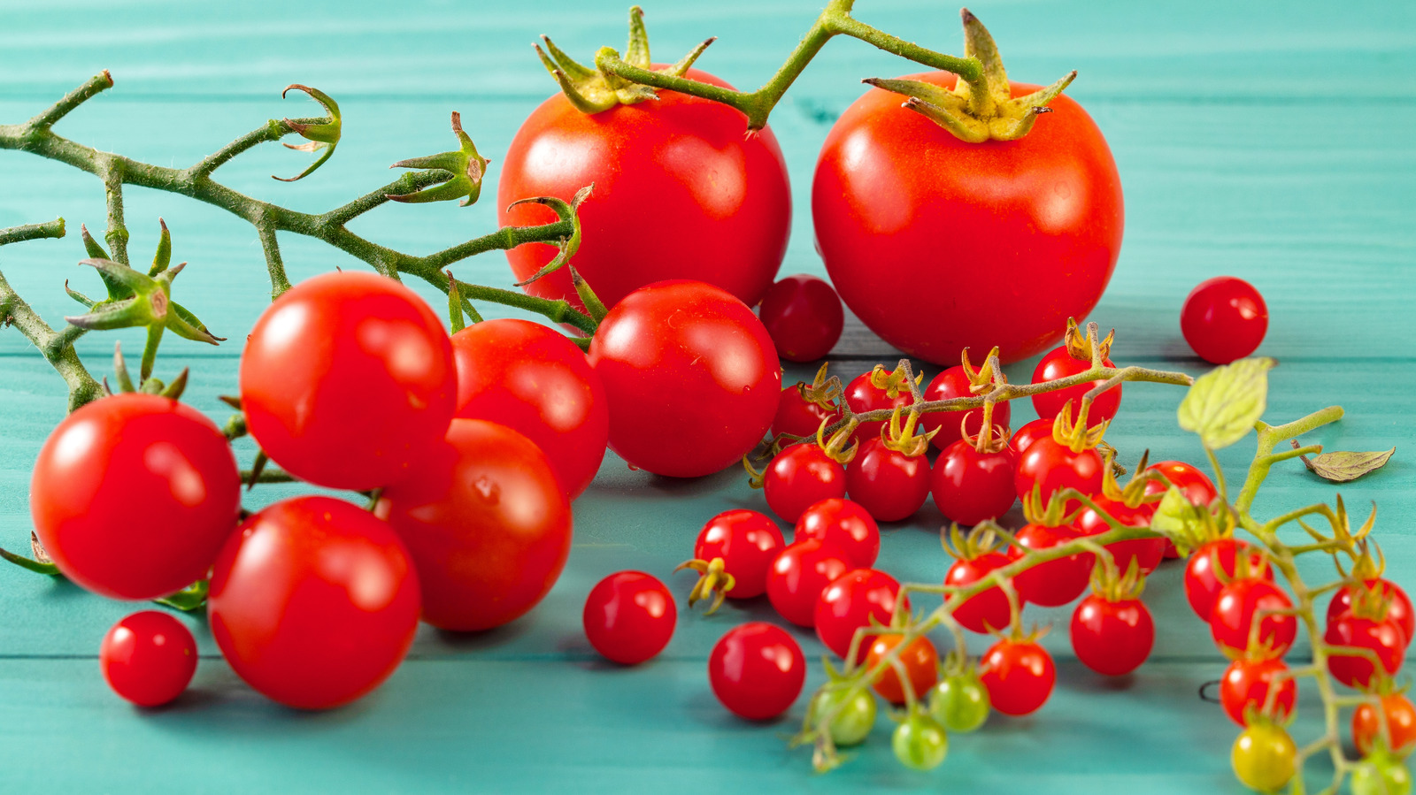 Ancient Tomatoes Are Shaking Up Everything We Knew About The Fruit
