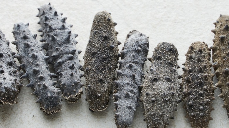 Dried sea cucumbers