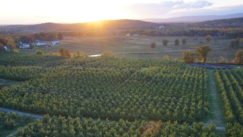 Angry Orchard Opens Research Center in the Hudson River Valley, with 60-Acre Orchard and Cidery Open to the Public 