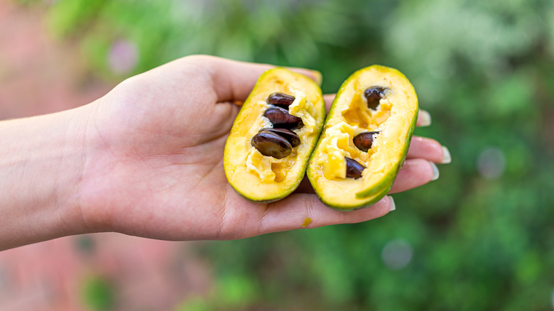 Hand holding a cut pawpaw fruit