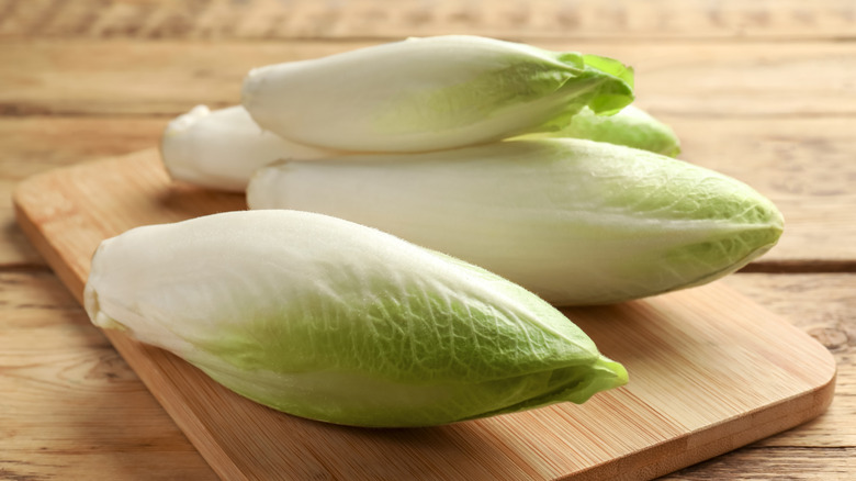 Raw Belgian endives on wooden cutting board