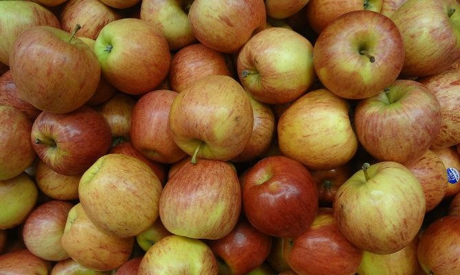 Royal gala apples