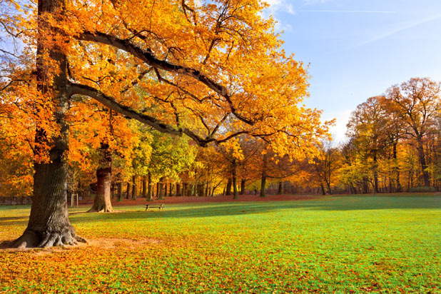 Moods and Seasons Have Started to Taste Like Starbucks