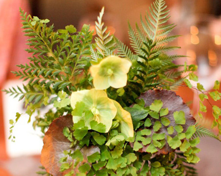 4. Check Out What's Happening in Nature