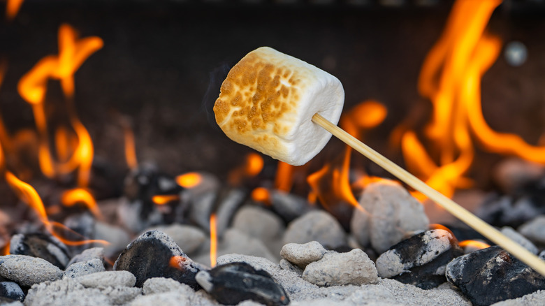 roasting marshmallow