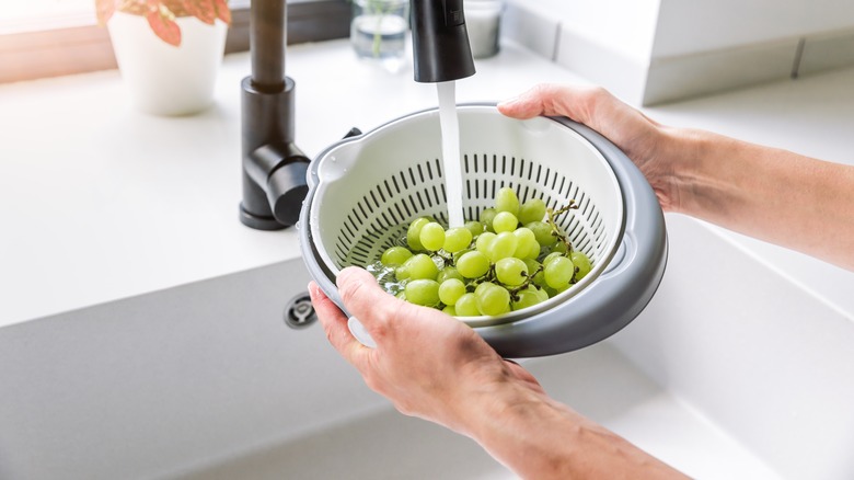 Hands hold a colander filled with grapes under running tap water