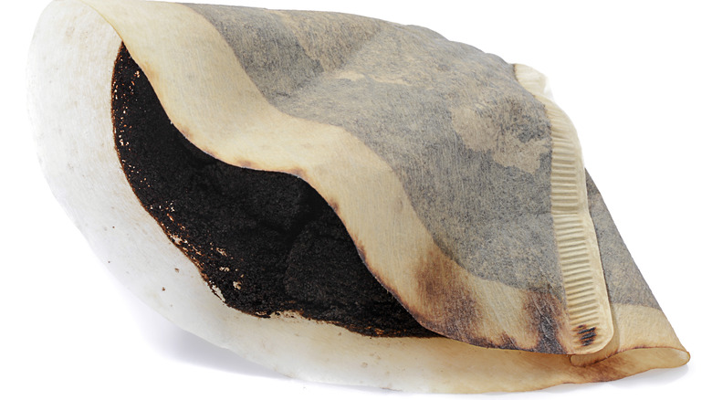 Filtered brewed coffee grounds