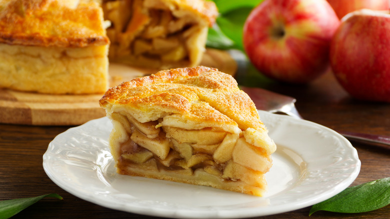 Plated slice of apple pie.