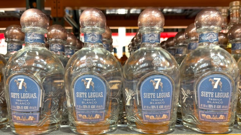 Bottles of Siete Leguas tequila on a shelf