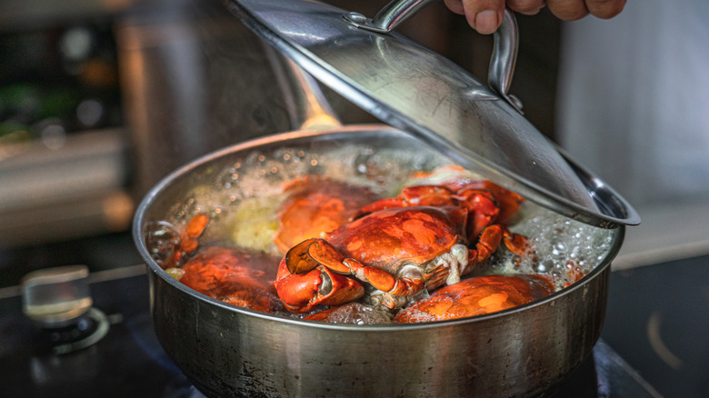 Lobster in a pot of boiling water